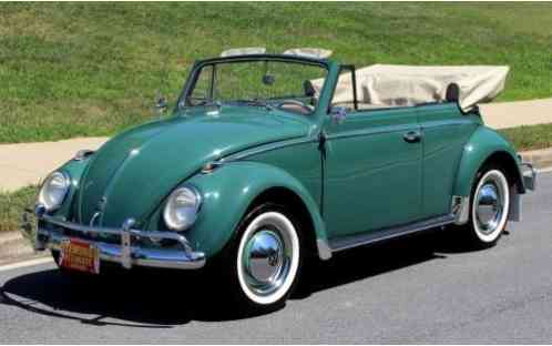Volkswagen Beetle-New -- (1960)