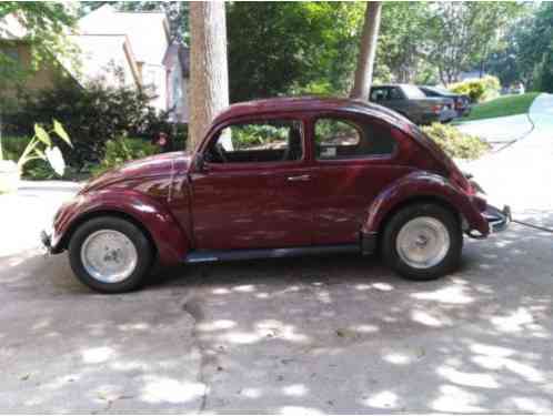 Volkswagen Beetle - Classic (1954)