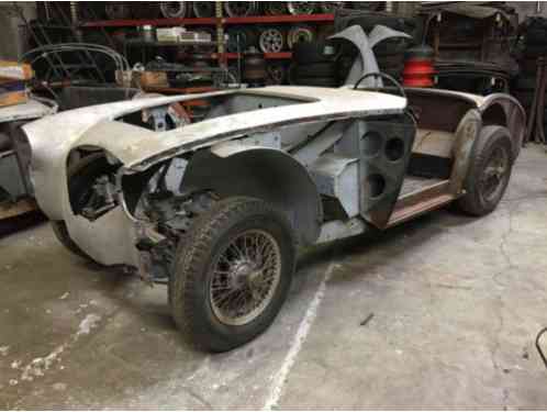 Austin Healey Other 100 BN1 (1954)