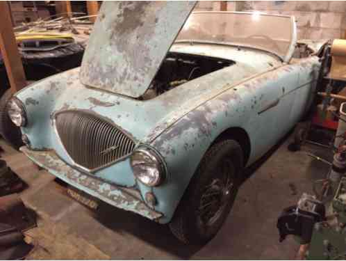 Austin Healey Other 100 BN2 (1956)