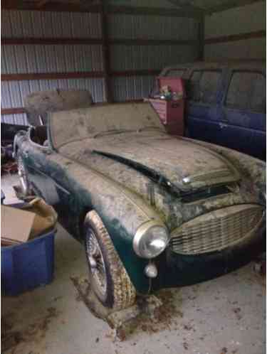 Austin Healey Other (1957)