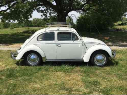 Volkswagen Beetle - Classic (1958)