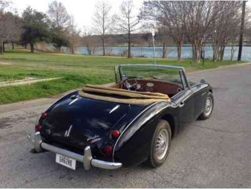 Austin Healey Other (1962)