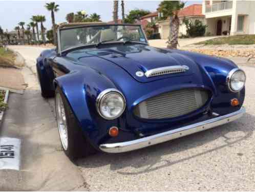 Austin Healey Other (1962)