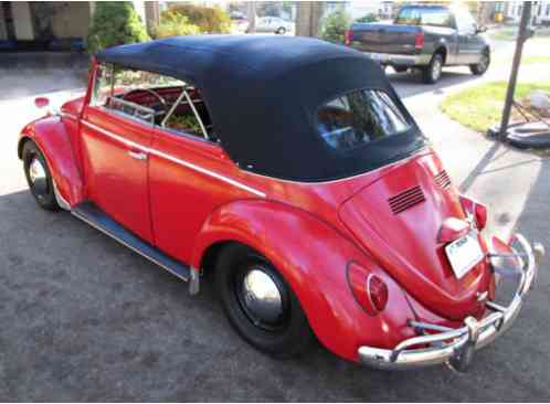 Volkswagen Beetle - Classic (1964)