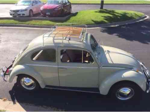 Volkswagen Beetle - Classic Beetle (1964)