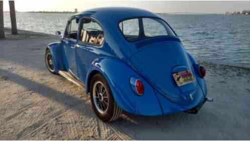 Volkswagen Beetle - Classic Cal (1965)