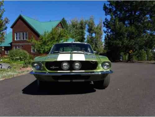 Shelby GT 500 (1967)