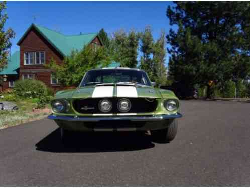 Shelby GT500 (1967)