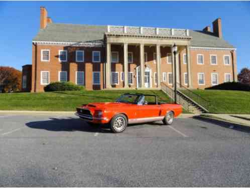 1968 Shelby