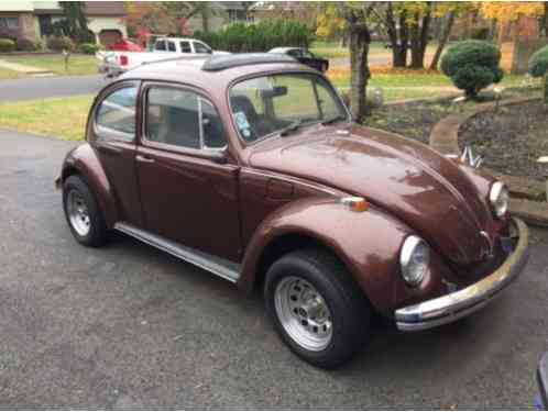 Volkswagen Beetle - Classic beetle (1969)
