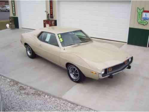 AMC Javelin 2 DOOR HARDTOP (1973)