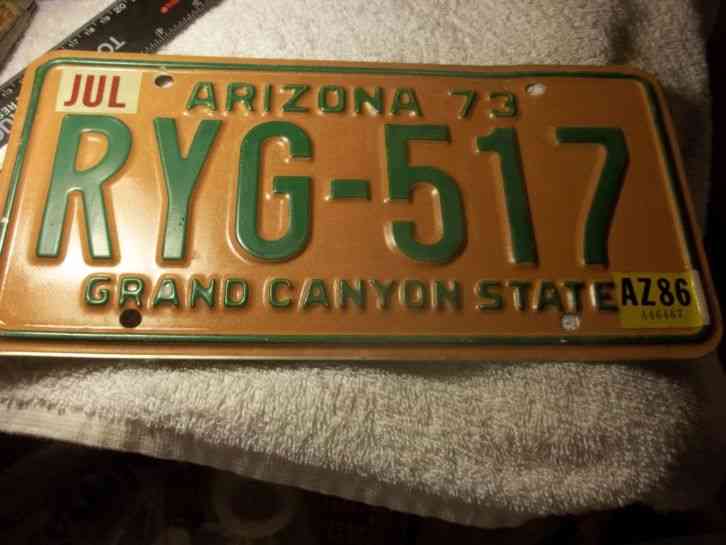 ARIZONA 2011 BUICK TEMPORARY LICENSE PLATE W DEALER