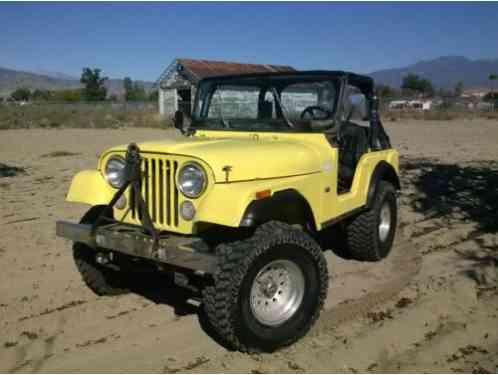 1973 Jeep CJ Bush Buggy