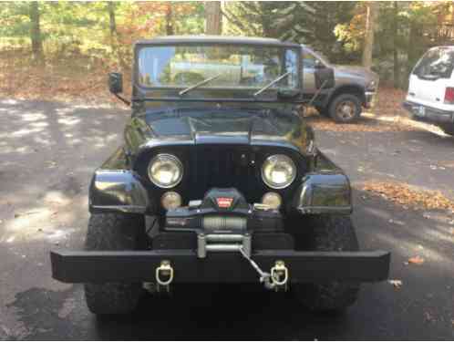 Jeep Other Base Sport Utility (1973)