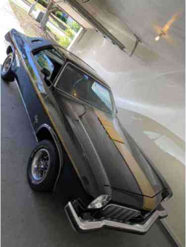 1973 Oldsmobile Cutlass Hurst