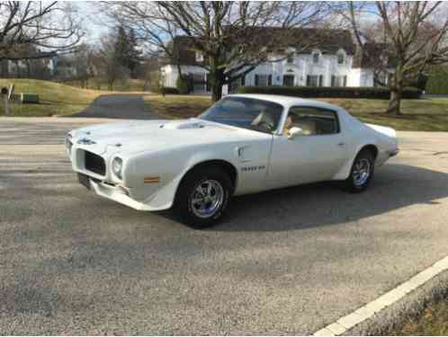 Pontiac Trans Am Custom Trim pkg (1973)