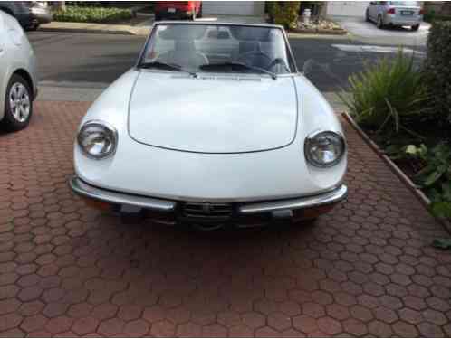 1974 Alfa Romeo Spider