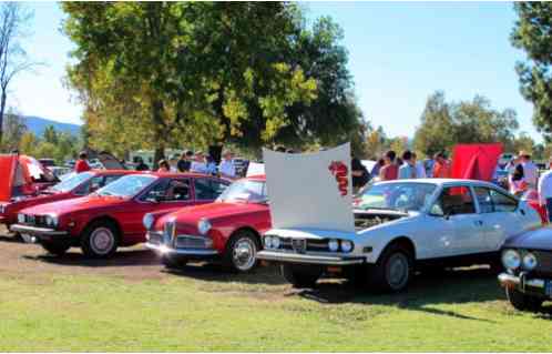 1977 Alfa Romeo Other