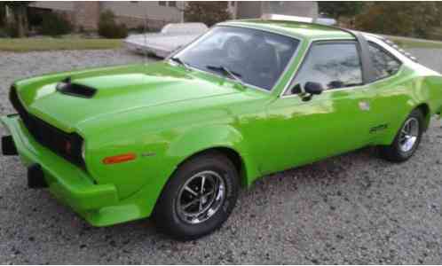 AMC Other AMX (1977)