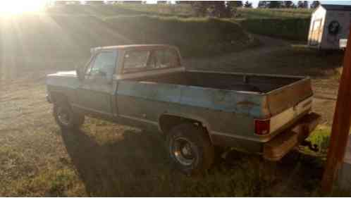 Chevrolet Other Pickups (1977)