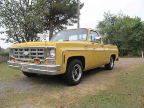 1977 Chevrolet Other Pickups