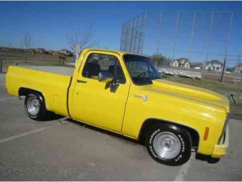 Chevrolet C-10 Short Bed (1979)