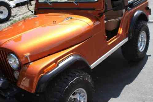 Jeep CJ CJ-5 (1979)