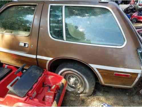 1980 AMC Pacer D/L