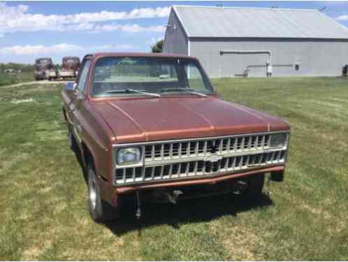 1980 Chevrolet C/K Pickup 1500