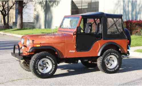 Jeep CJ 5, California Jeep, 100% (1981)