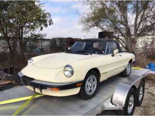 1984 Alfa Romeo Spider Spider Veloce