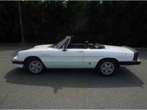 1985 Alfa Romeo Spider