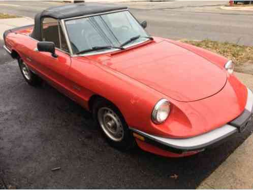 1987 Alfa Romeo Spider