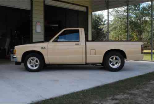 Chevrolet S-10 CUSTOM (1987)