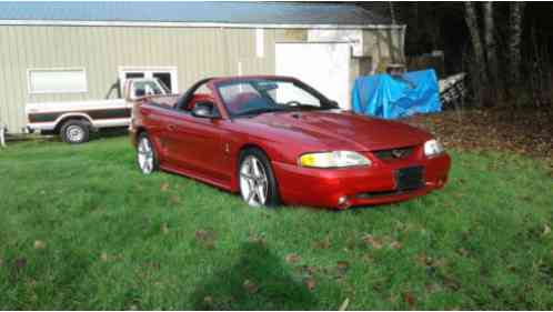 Ford Mustang SVT Cobra Convertible (1996)