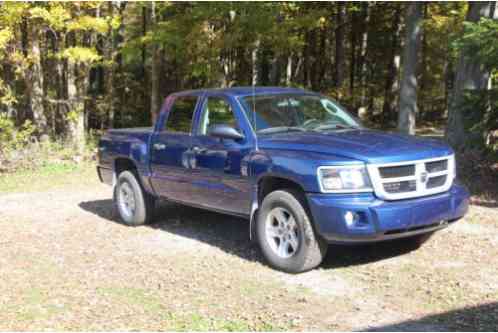 Dodge Dakota Big Horn (2010)