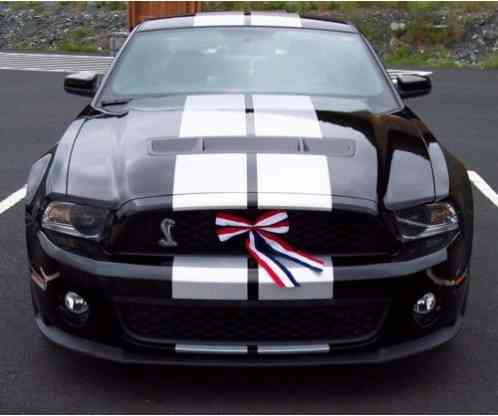 Shelby Mustang GT500 SVT 2 Door (2010)