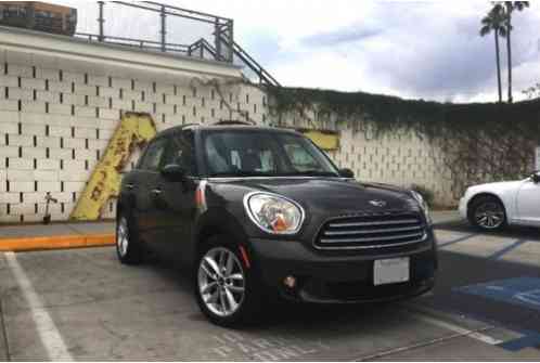 Mini Countryman (2013)