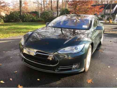 Tesla Model S Pano Roof (2013)