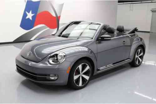 Volkswagen Beetle-New (2013)