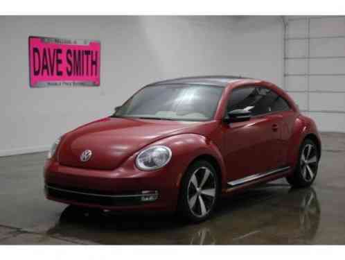 Volkswagen Beetle-New (2013)