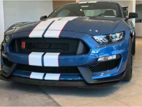 Ford Mustang Shelby GT 350R (2019)
