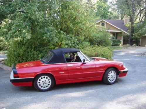 1986 Alfa Romeo Spider