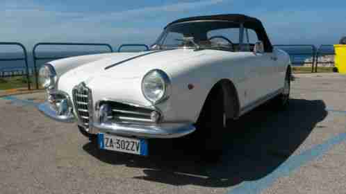 Alfa Romeo : Spider