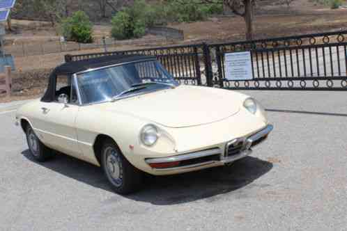 1969 Alfa Romeo Spider