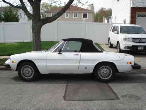 1978 Alfa Romeo Spider