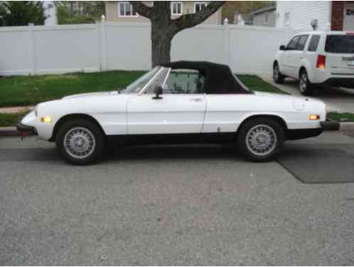 1978 Alfa Romeo Spider