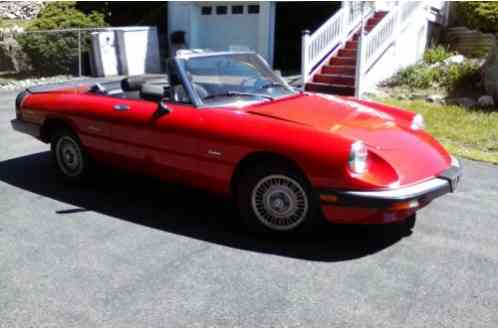 1986 Alfa Romeo Spider