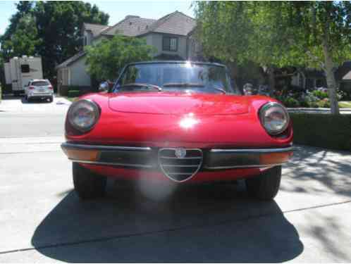 1971 Alfa Romeo Spider